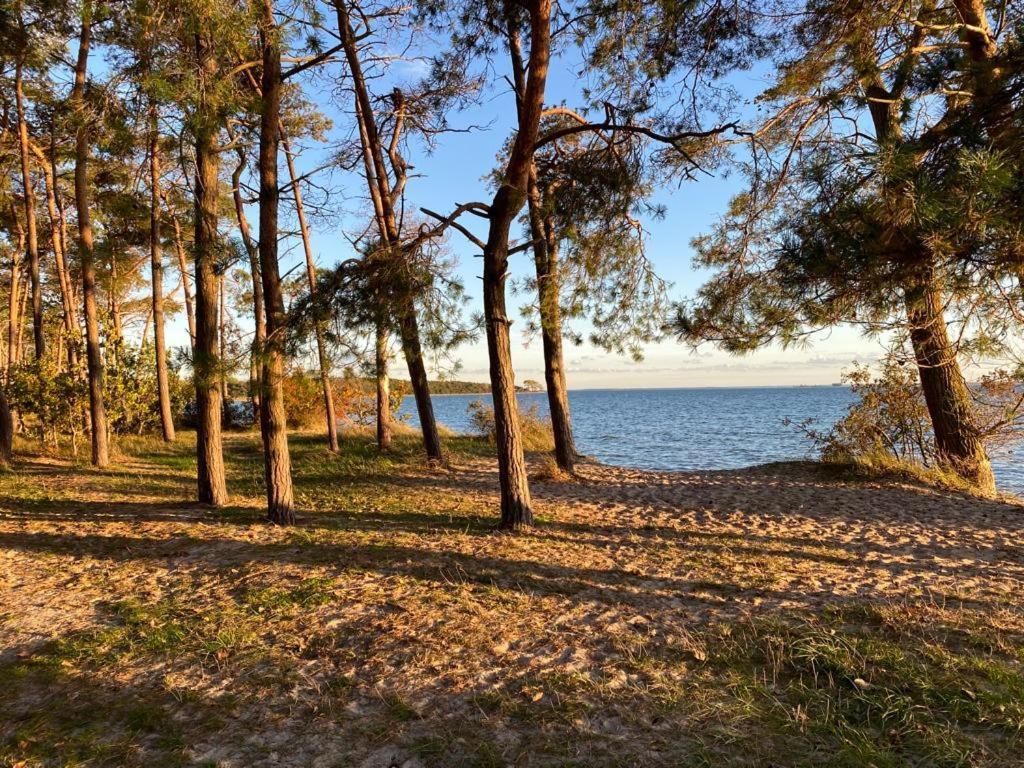 Villa Strandraeuber Zudar Exteriér fotografie